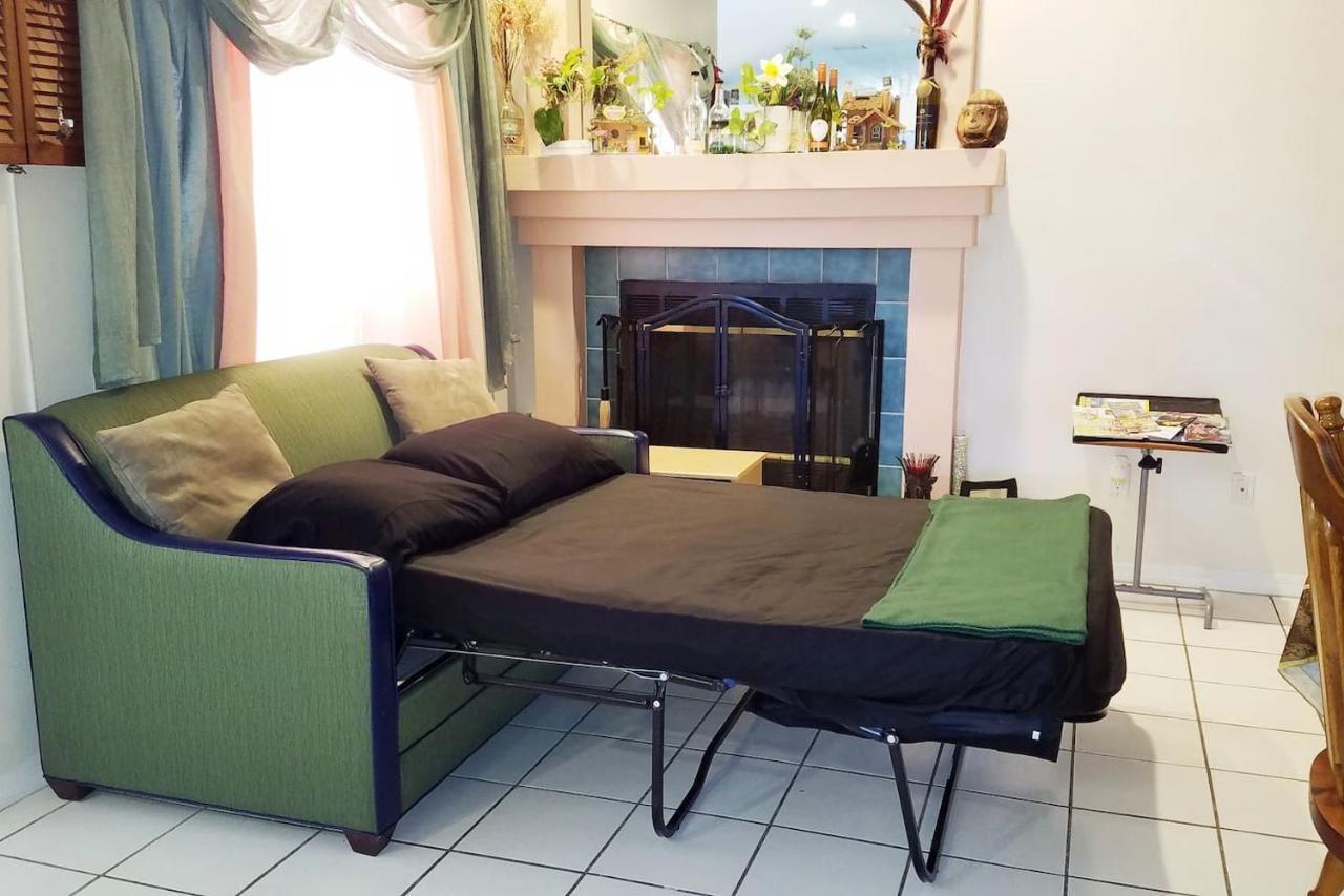 Cozy And Conveniently Located Pool Home With Free Wifi Τάμπα Εξωτερικό φωτογραφία