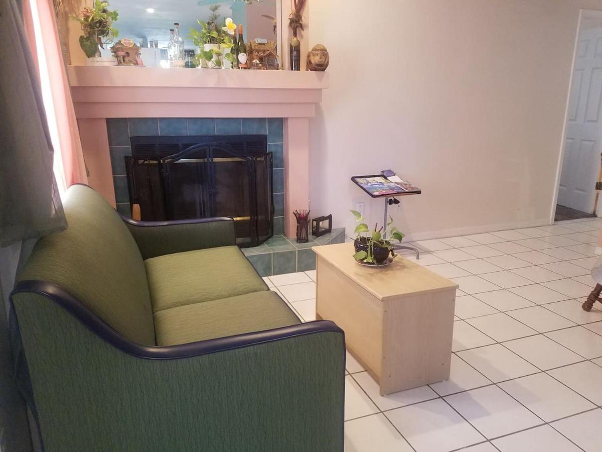 Cozy And Conveniently Located Pool Home With Free Wifi Τάμπα Εξωτερικό φωτογραφία