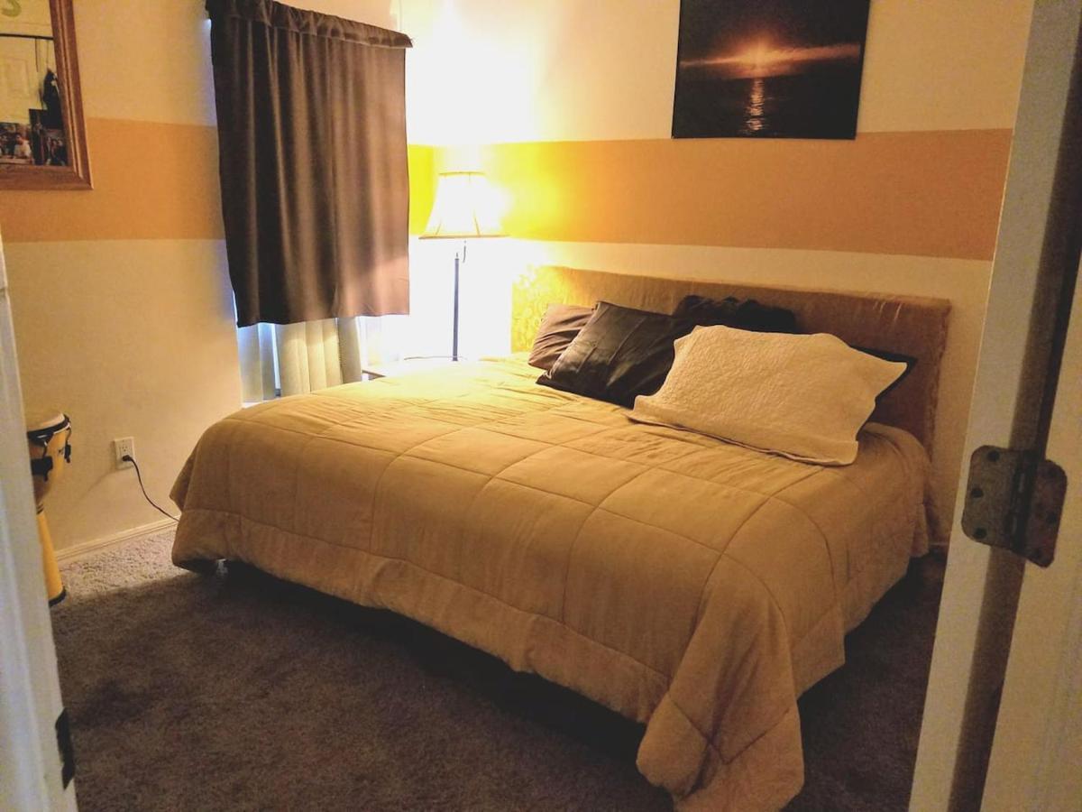 Cozy And Conveniently Located Pool Home With Free Wifi Τάμπα Εξωτερικό φωτογραφία