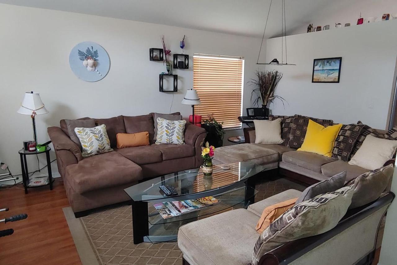 Cozy And Conveniently Located Pool Home With Free Wifi Τάμπα Εξωτερικό φωτογραφία