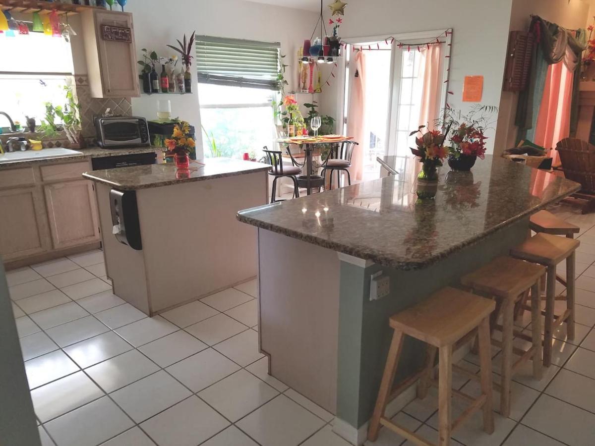 Cozy And Conveniently Located Pool Home With Free Wifi Τάμπα Εξωτερικό φωτογραφία