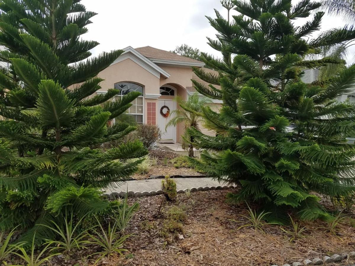 Cozy And Conveniently Located Pool Home With Free Wifi Τάμπα Εξωτερικό φωτογραφία
